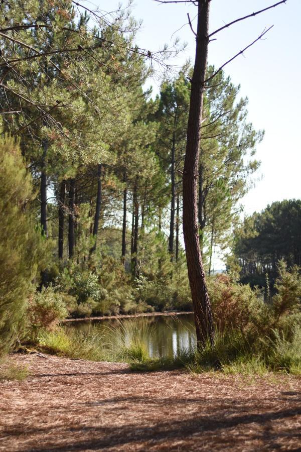 La cachette du lac Lacanau Extérieur photo